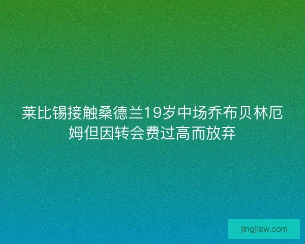 莱比锡接触桑德兰19岁中场乔布贝林厄姆但因转会费过高而放弃