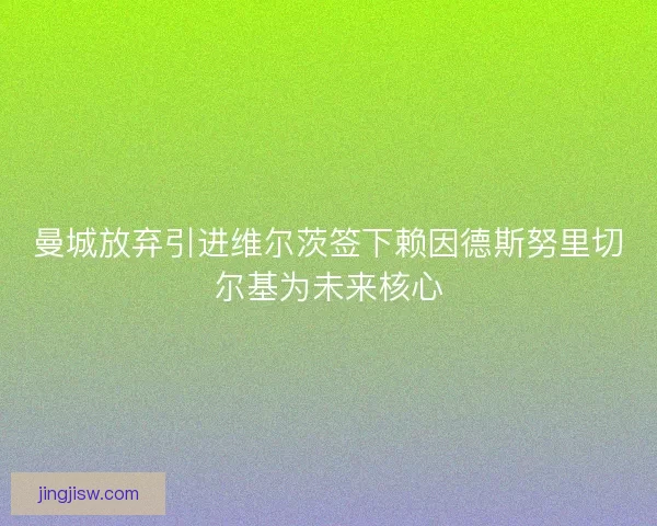 曼城放弃引进维尔茨签下赖因德斯努里切尔基为未来核心