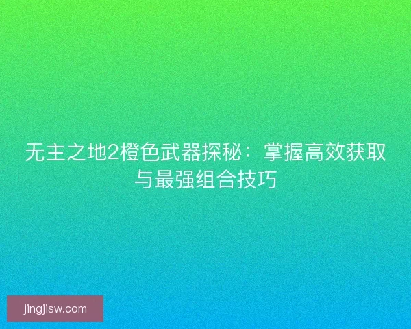 无主之地2橙色武器探秘：掌握高效获取与最强组合技巧