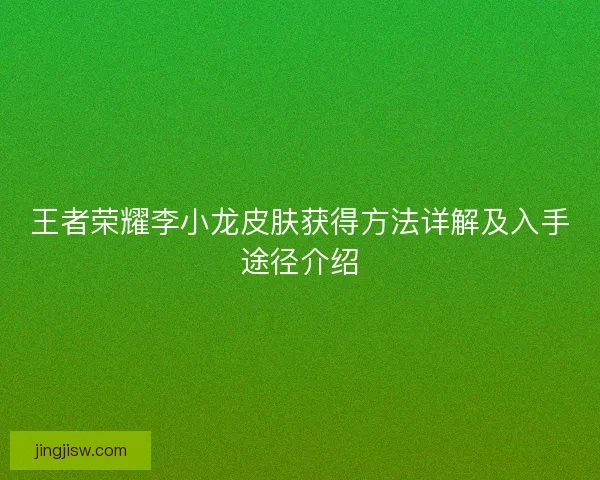 王者荣耀李小龙皮肤获得方法详解及入手途径介绍