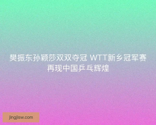 樊振东孙颖莎双双夺冠 WTT新乡冠军赛再现中国乒乓辉煌
